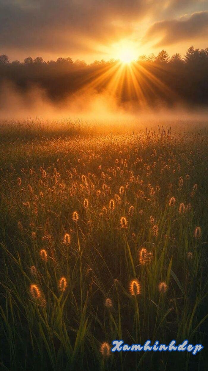 Hình nền bình minh chill