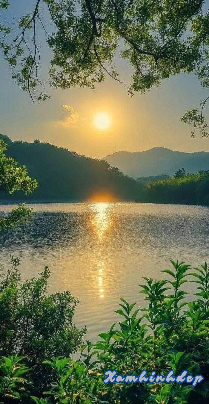 Hình nền bình minh đẹp