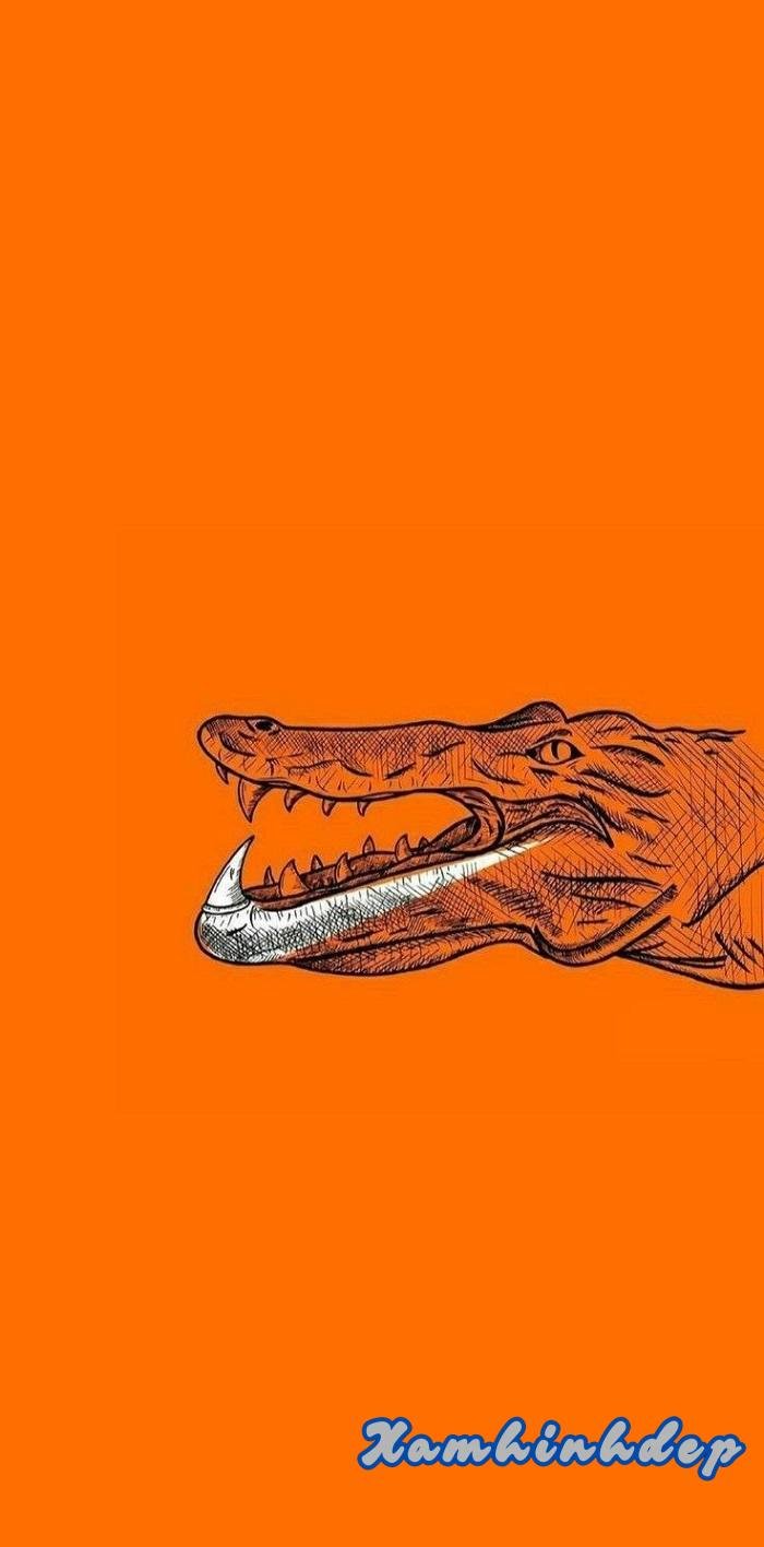 Hình nền nike full hd