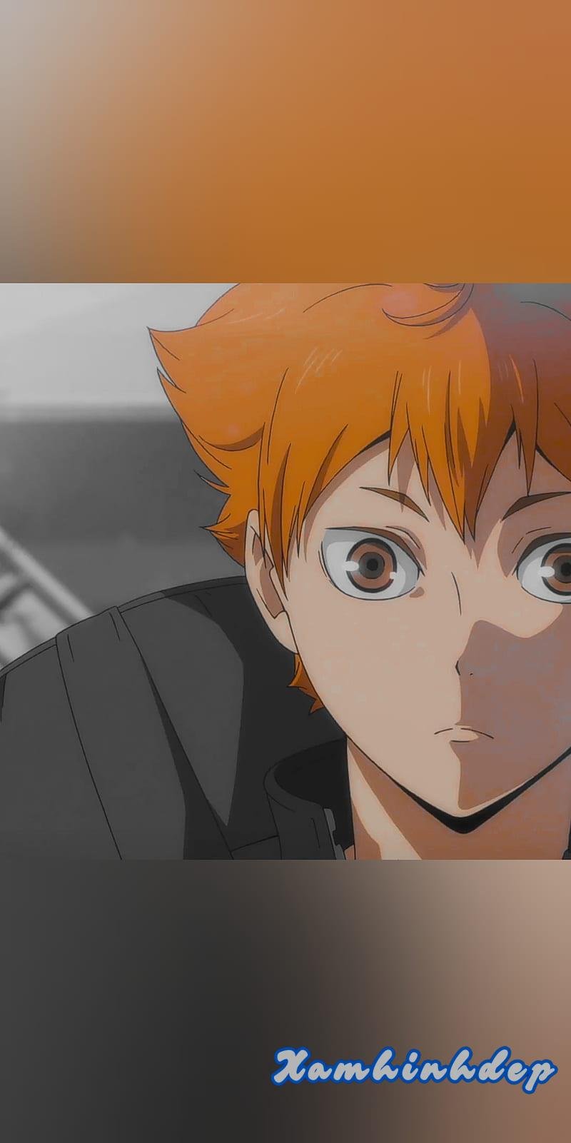 Khám phá ảnh hinata shoyo cuốn hút