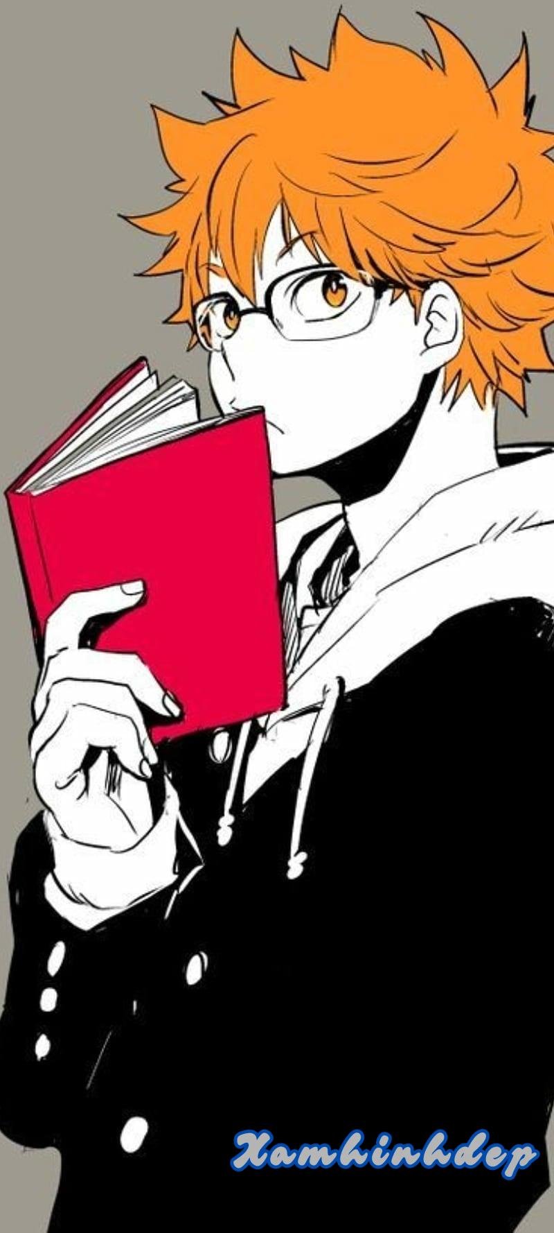 Khám phá ảnh hinata shoyo đẹp nhất