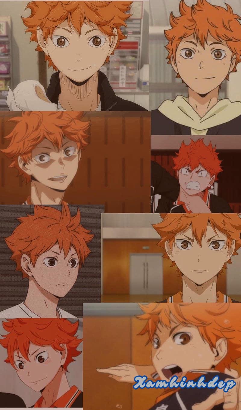 Khám phá ảnh hinata shoyo độc đáo