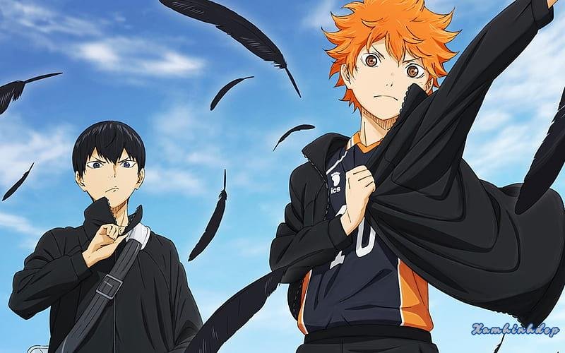 Khám phá ảnh hinata shoyo sắc nét