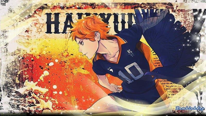 Khám phá ảnh hinata shoyo thu hút