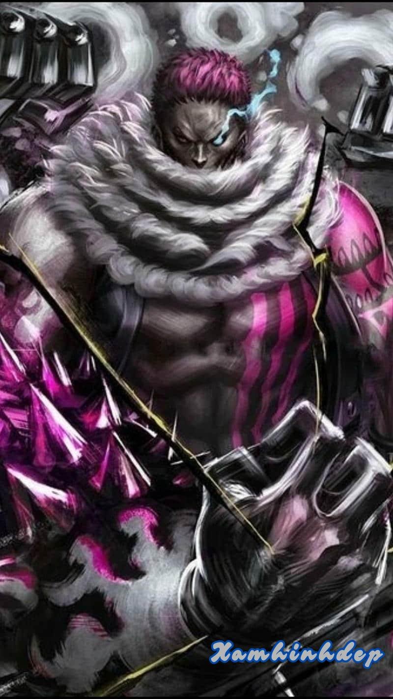 Khám phá ảnh katakuri thu hút