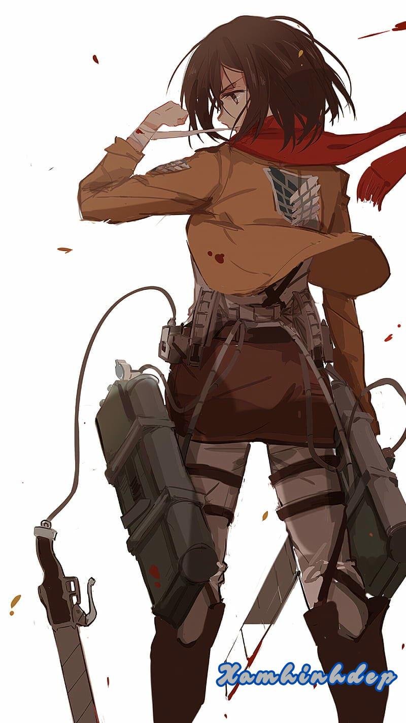 Khám phá ảnh mikasa độc đáo