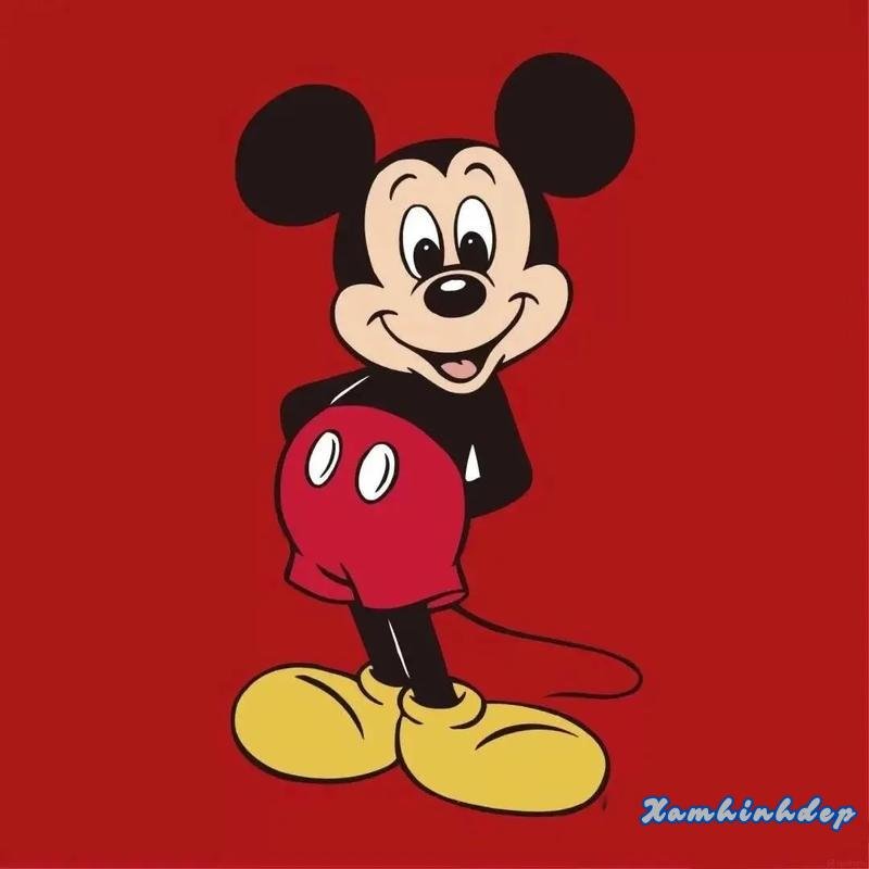 Khám phá ảnh mikey đẹp nhất