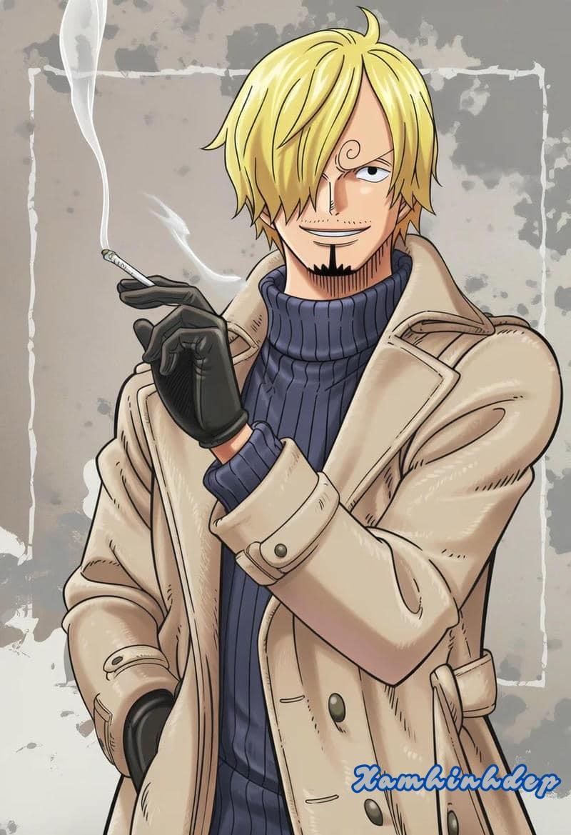 Khám phá ảnh sanji đẹp