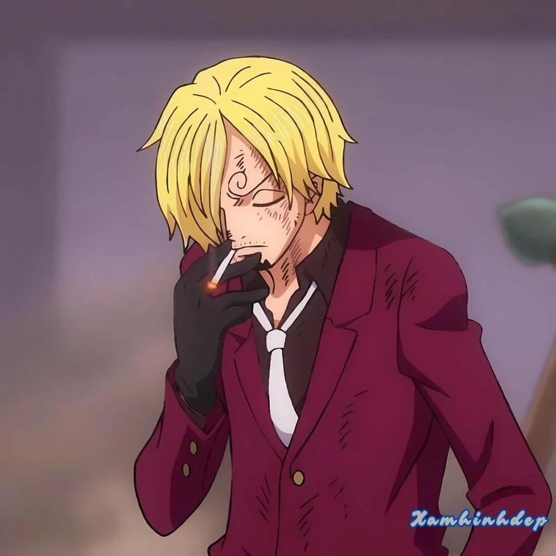 Khám phá ảnh sanji thu hút