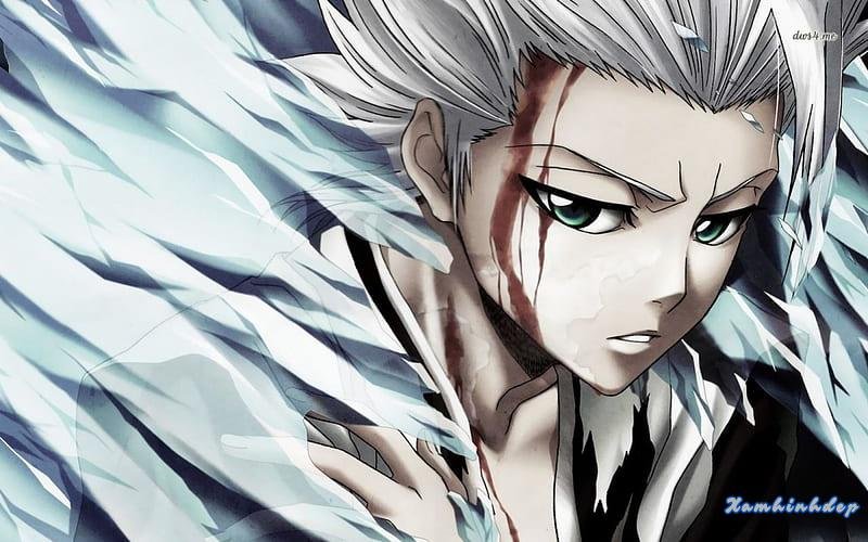 Khám phá ảnh toshiro hitsugaya đẹp nhất