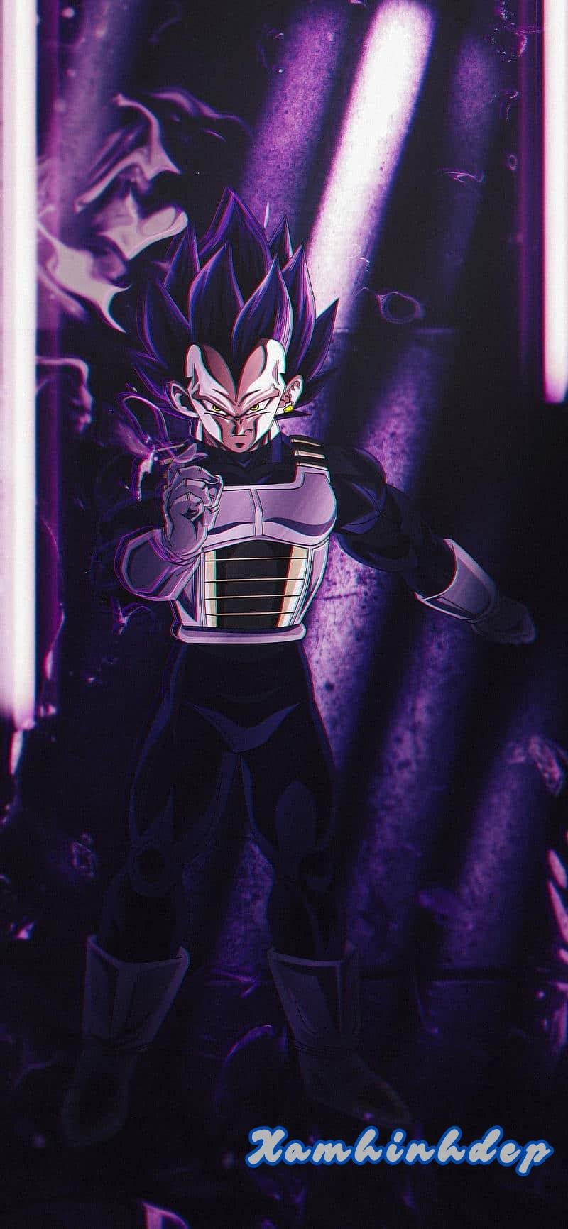 Khám phá ảnh vegeta cuốn hút