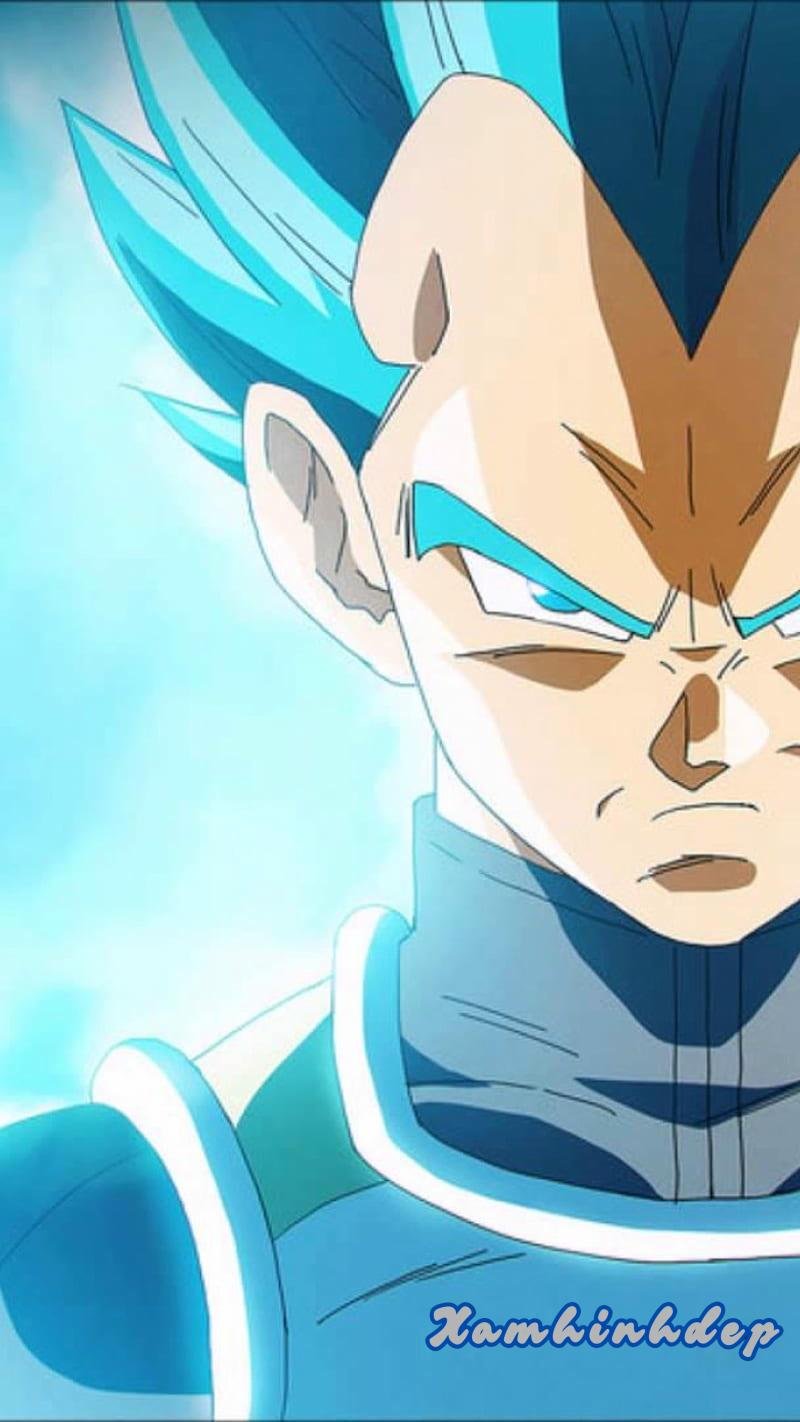 Khám phá ảnh vegeta độc đáo