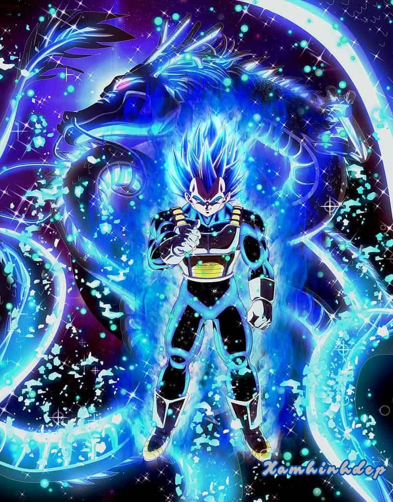 Khám phá ảnh vegeta sắc nét