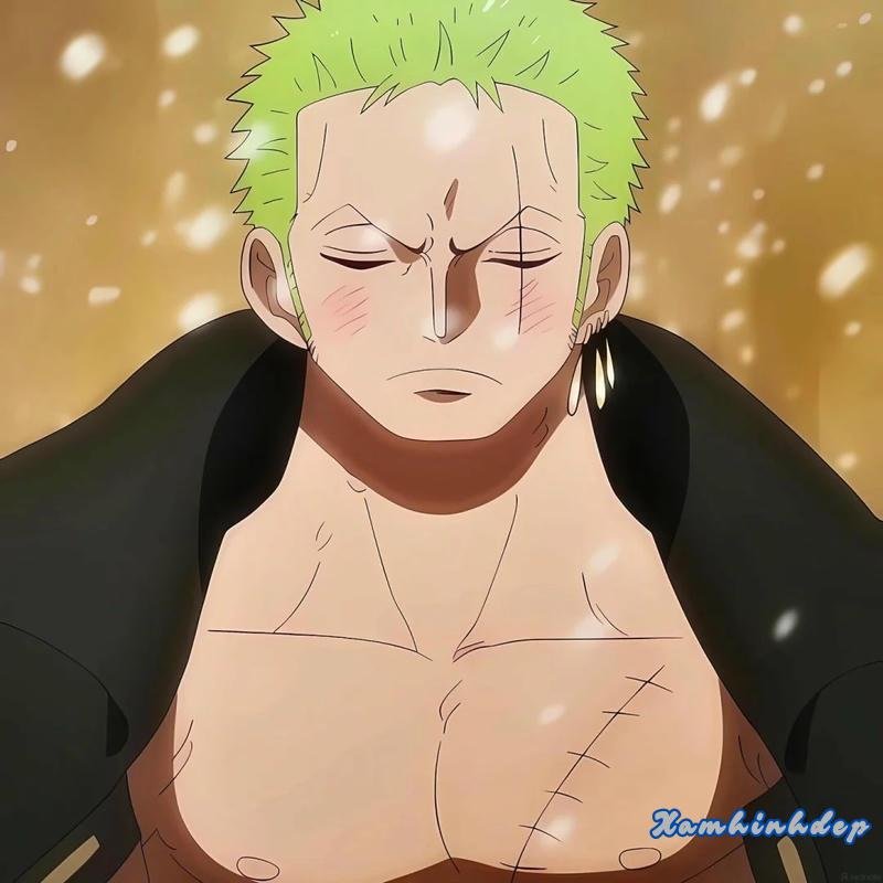 Khám phá ảnh zoro thu hút