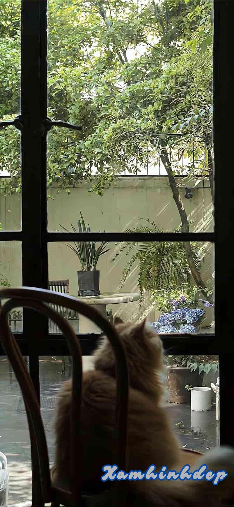 Khám phá hình nền chill độc đáo