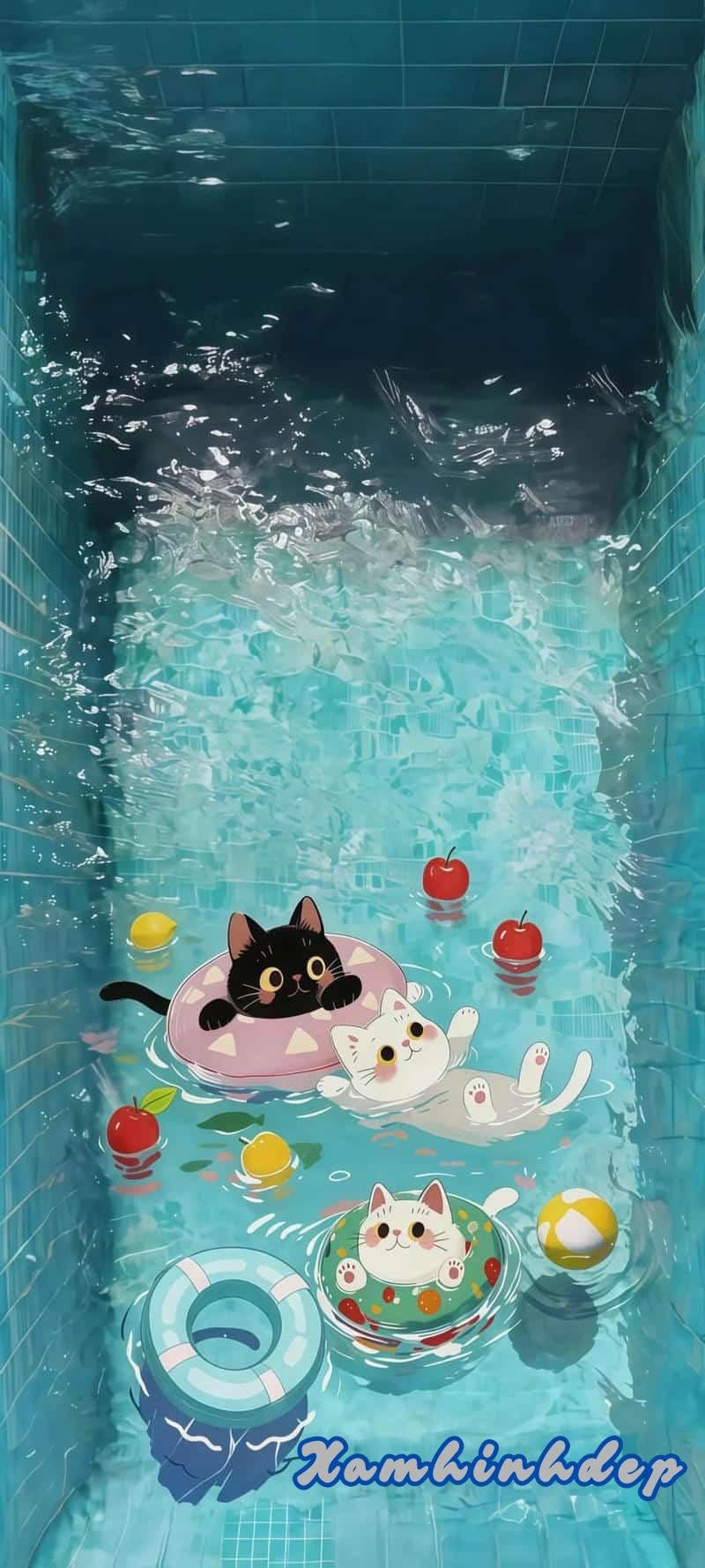 Khám phá hình nền đẹp cute thu hút