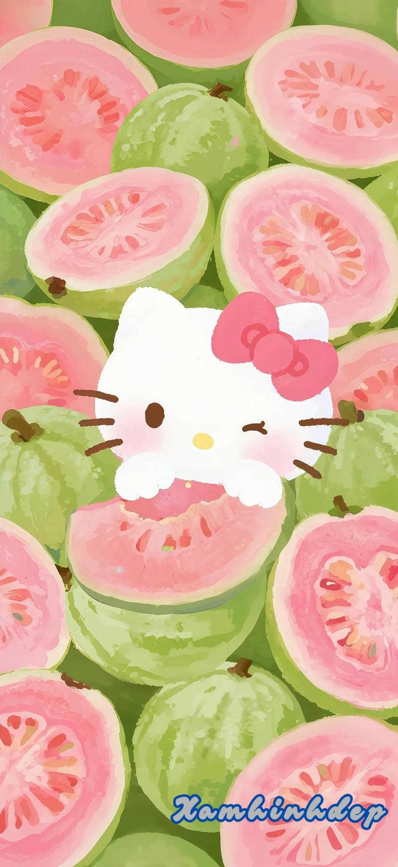 Khám phá hình nền hello kitty thu hút