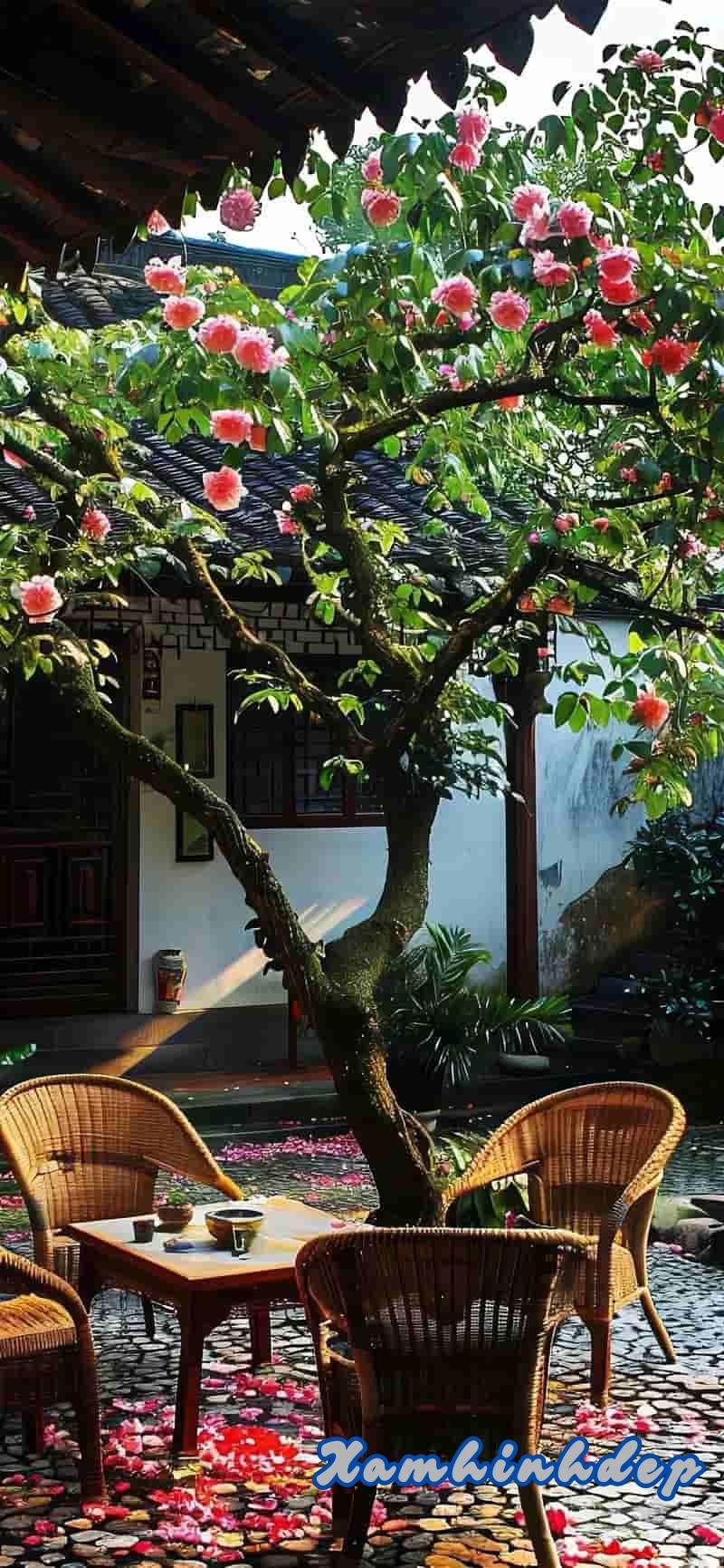 Khám phá hình nền iphone 15 cuốn hút