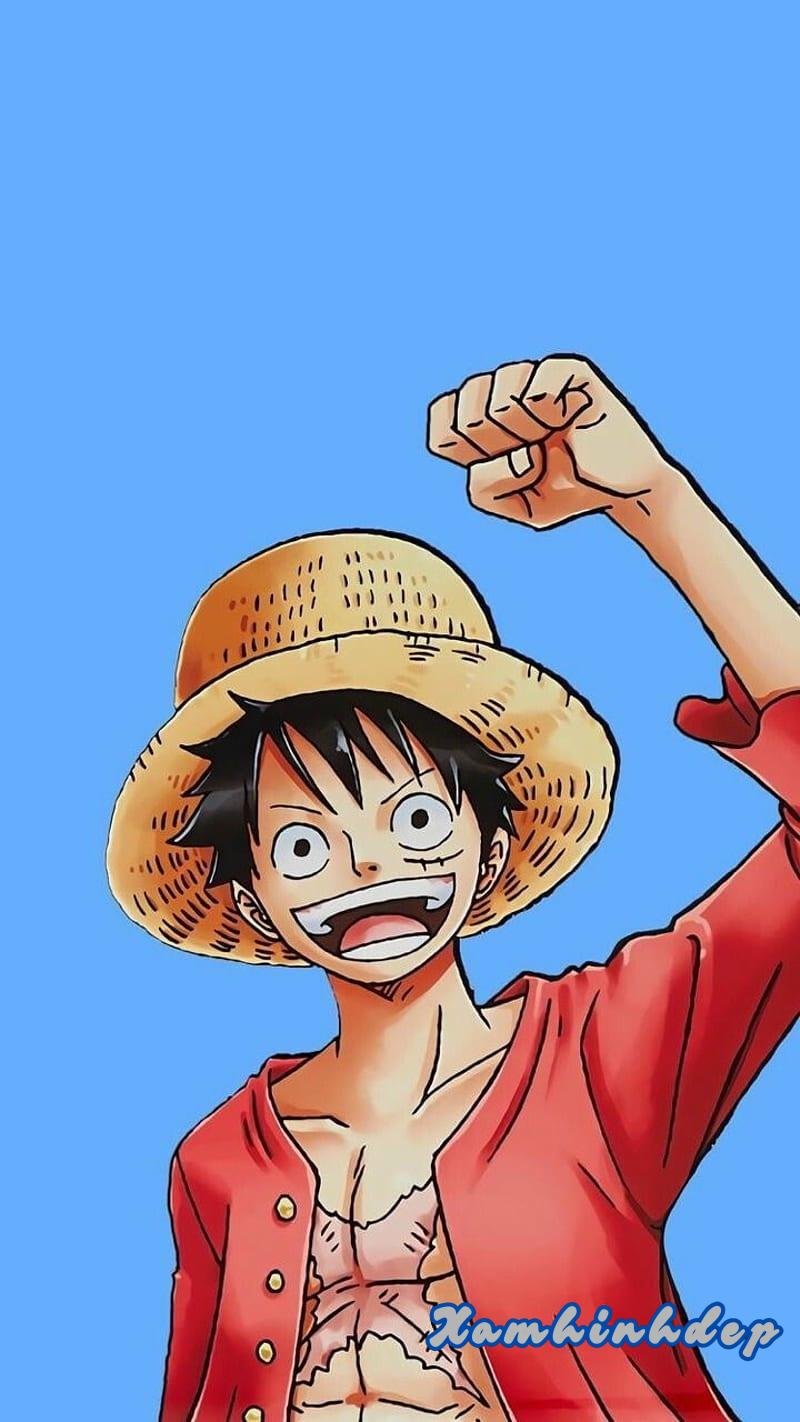 Khám phá hình nền luffy cuốn hút