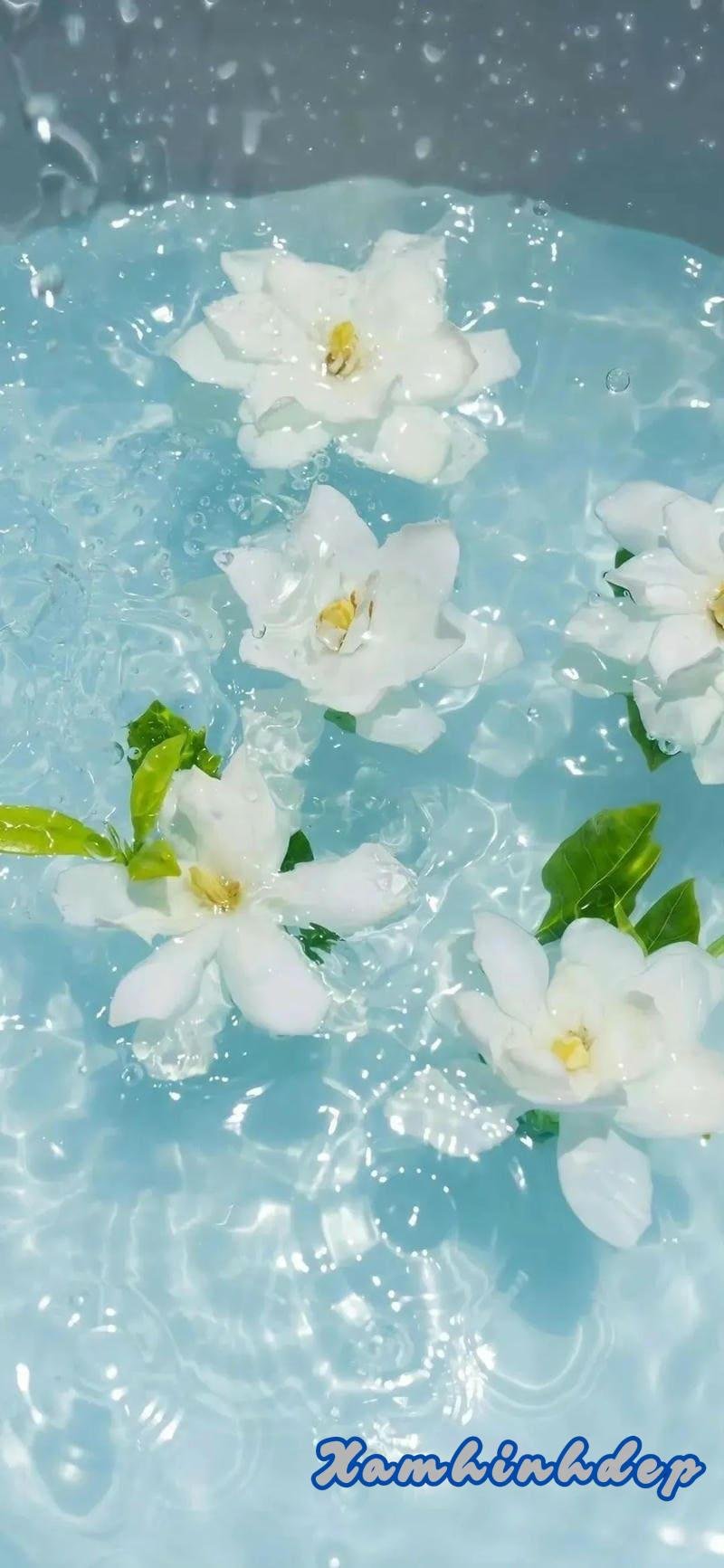 Khám phá hình nền màu xanh đẹp nhất