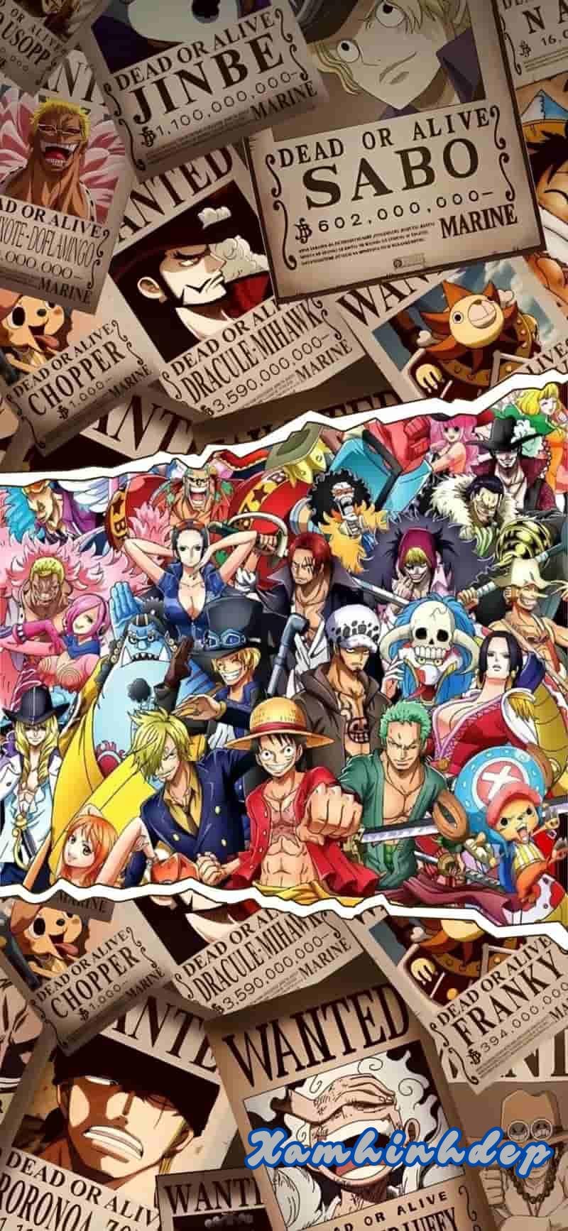 Khám phá hình nền one piece đẹp nhất