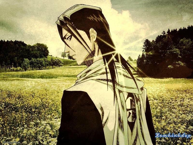 Khám phá kho ảnh byakuya kuchiki cực đẹp