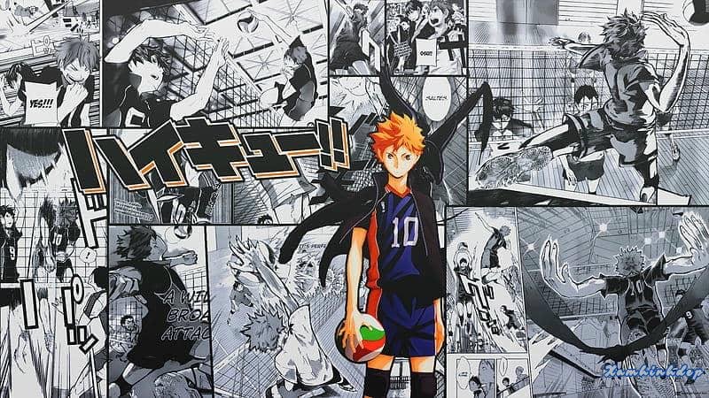 Khám phá kho ảnh hinata shoyo cuốn hút