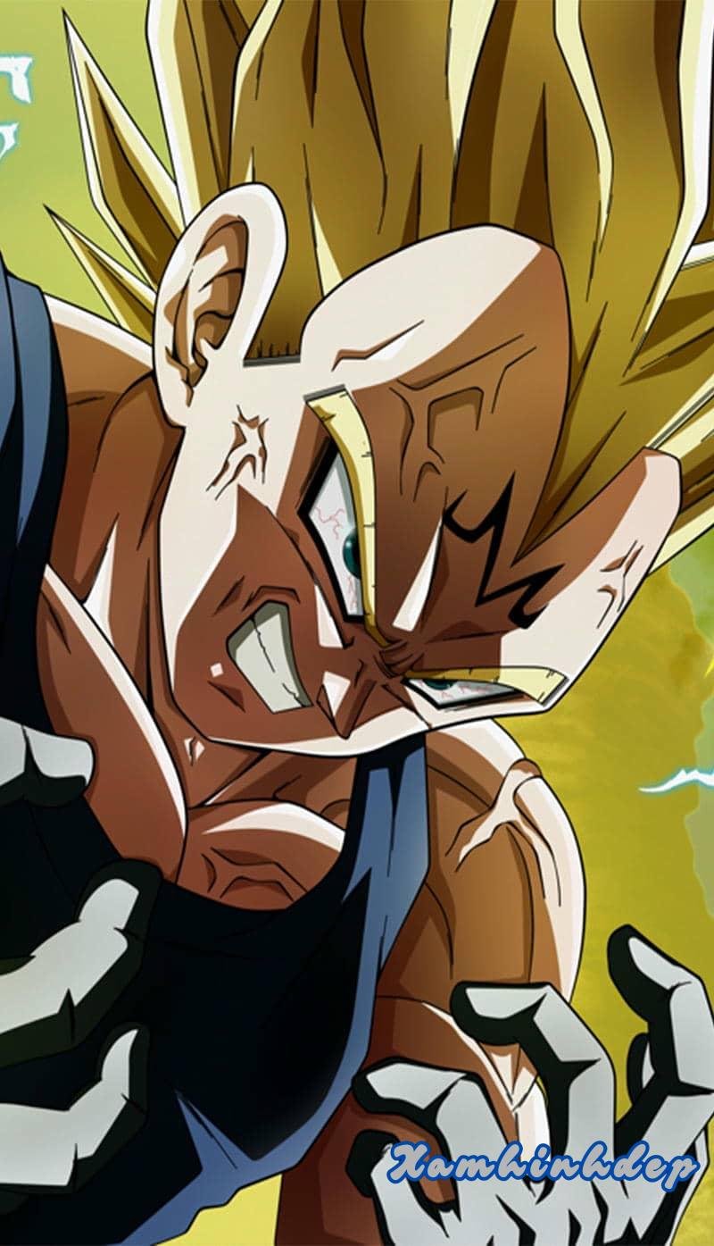 Khám phá kho ảnh vegeta cuốn hút