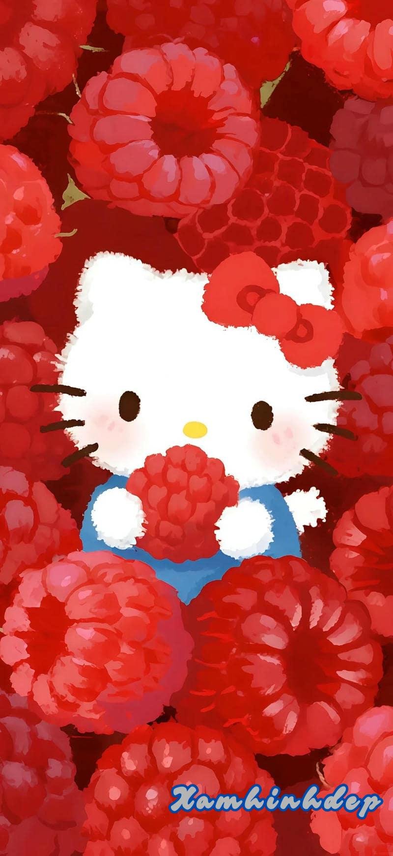 Khám phá kho hình nền hello kitty cuốn hút