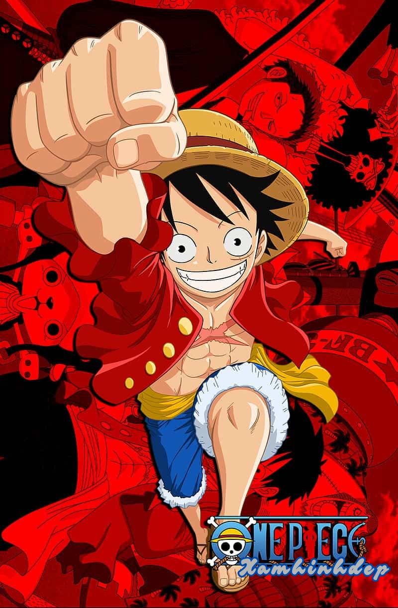 Khám phá kho hình nền luffy cực đẹp