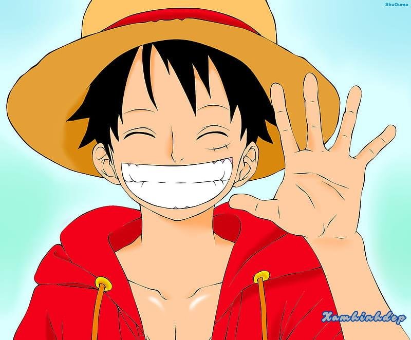 Kho ảnh luffy chất lượng cao