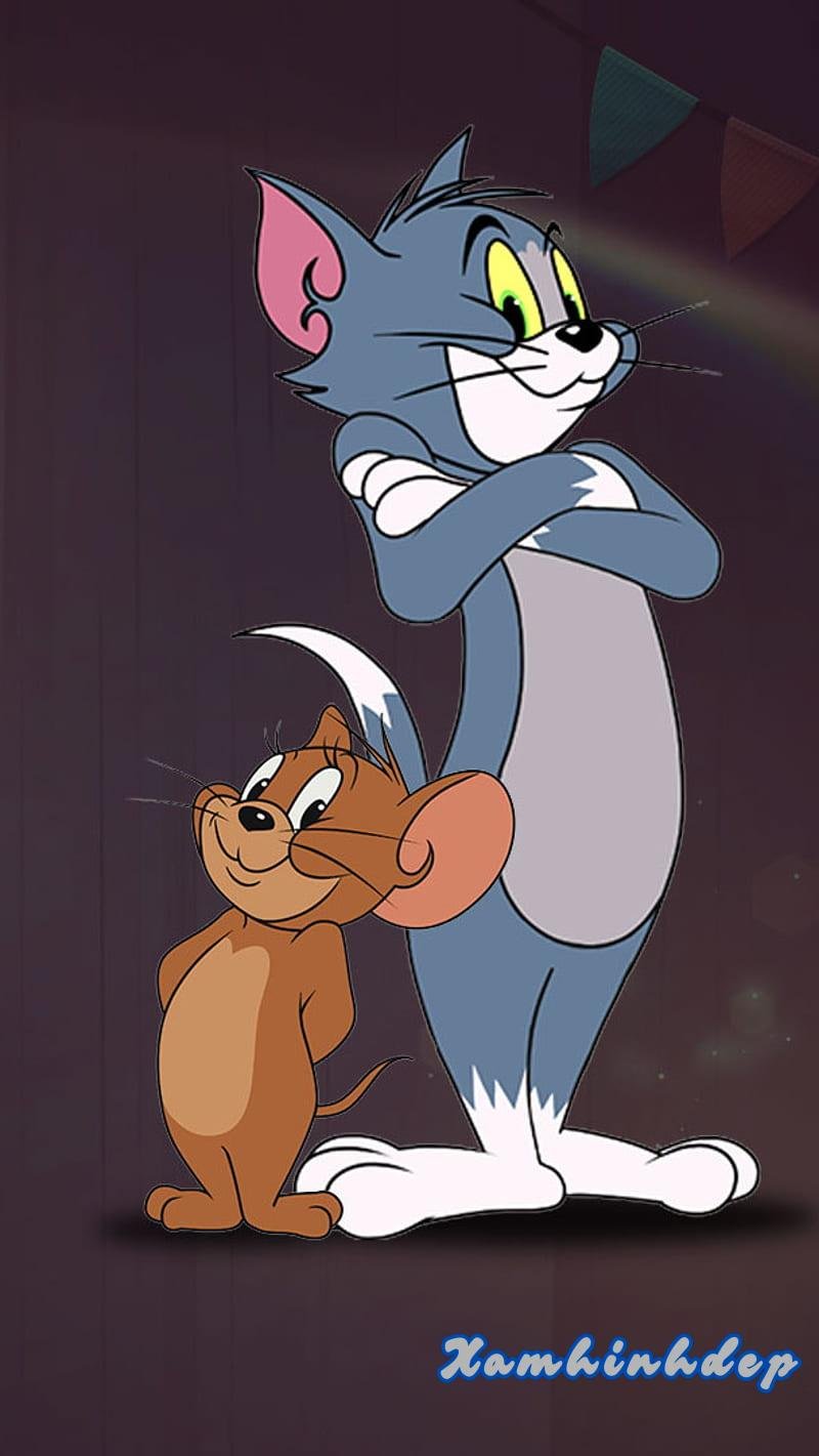 Kho ảnh tom và jerry chất lượng cao
