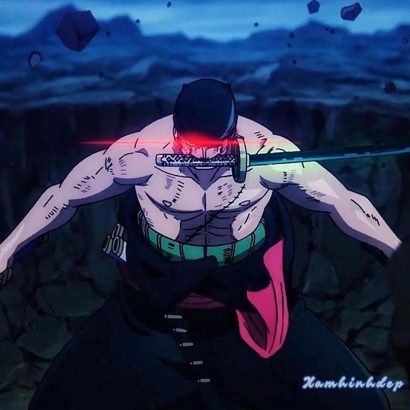 Kho ảnh zoro chất lượng cao
