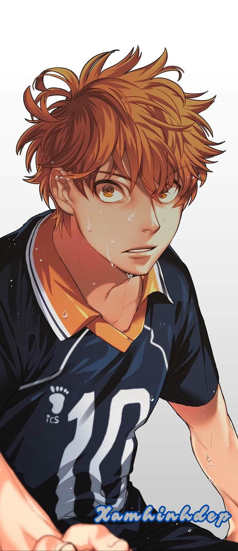 Loạt ảnh hinata shoyo đẹp
