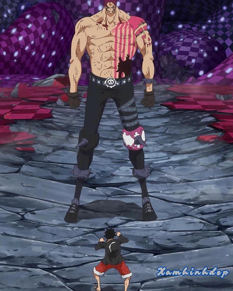 Loạt ảnh katakuri đẹp