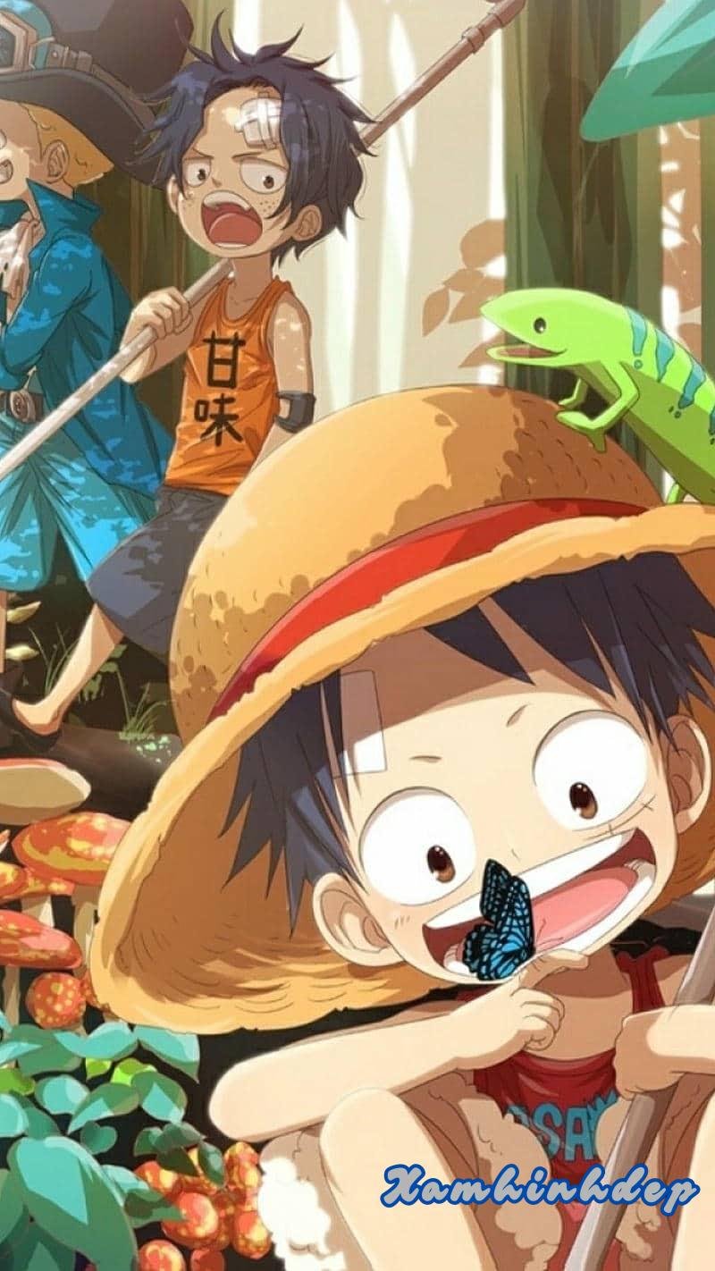 Loạt hình nền luffy đẹp