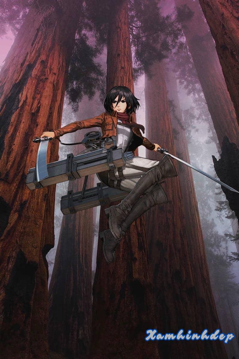 Ngắm ảnh mikasa mới