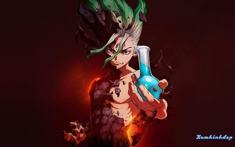 Ngắm ảnh senku ishigami hot
