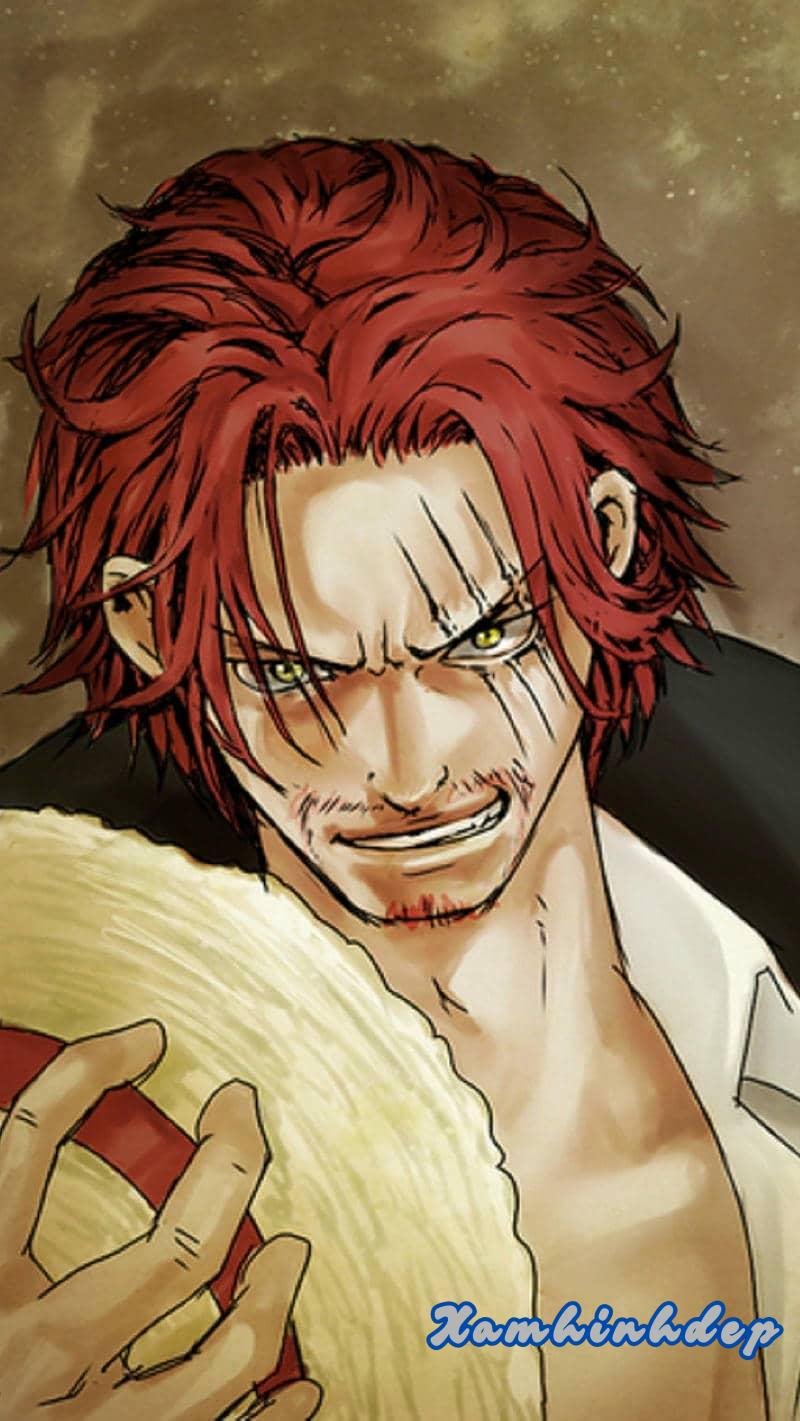 Ngắm ảnh shanks hot