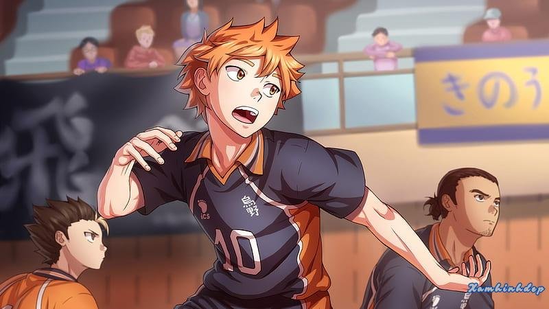 Ngắm bộ ảnh hinata shoyo mới chất lượng cao