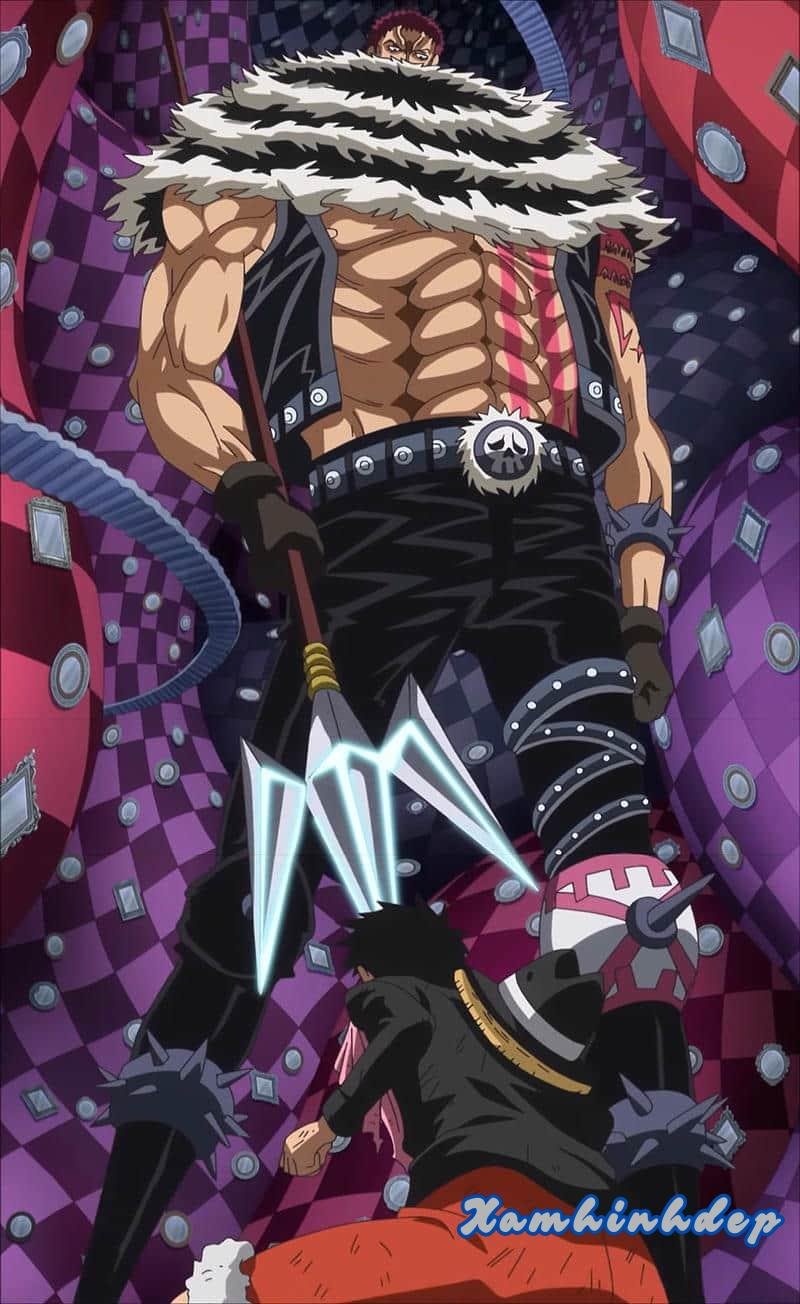 Ngắm bộ ảnh katakuri mới chất lượng cao