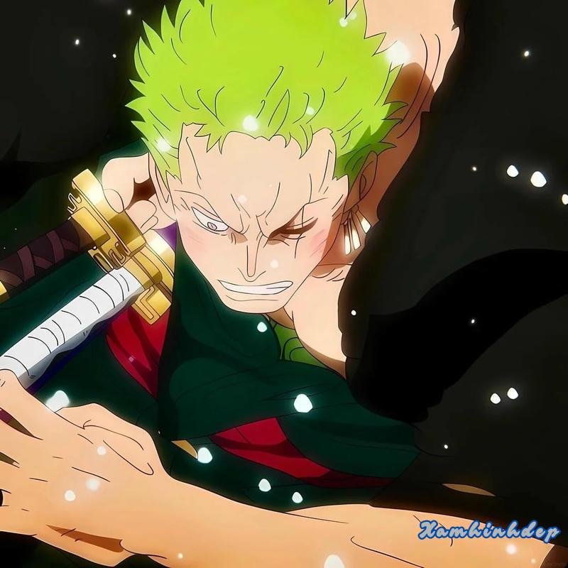 Ngắm bộ ảnh zoro mới chất lượng cao
