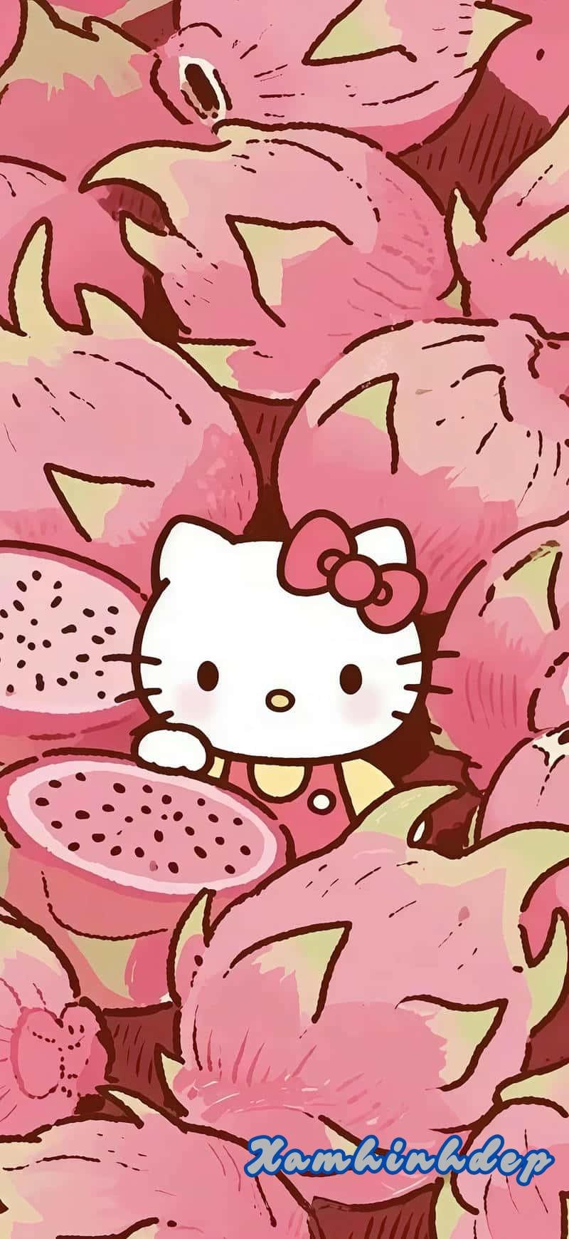 Ngắm bộ hình nền hello kitty mới chất lượng cao