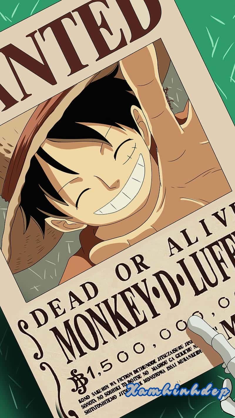Ngắm bộ hình nền luffy cực hot