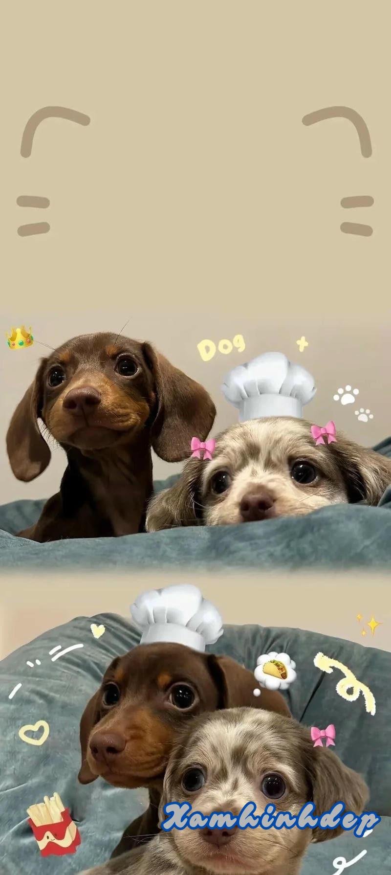 Ngắm hình nền cute mới