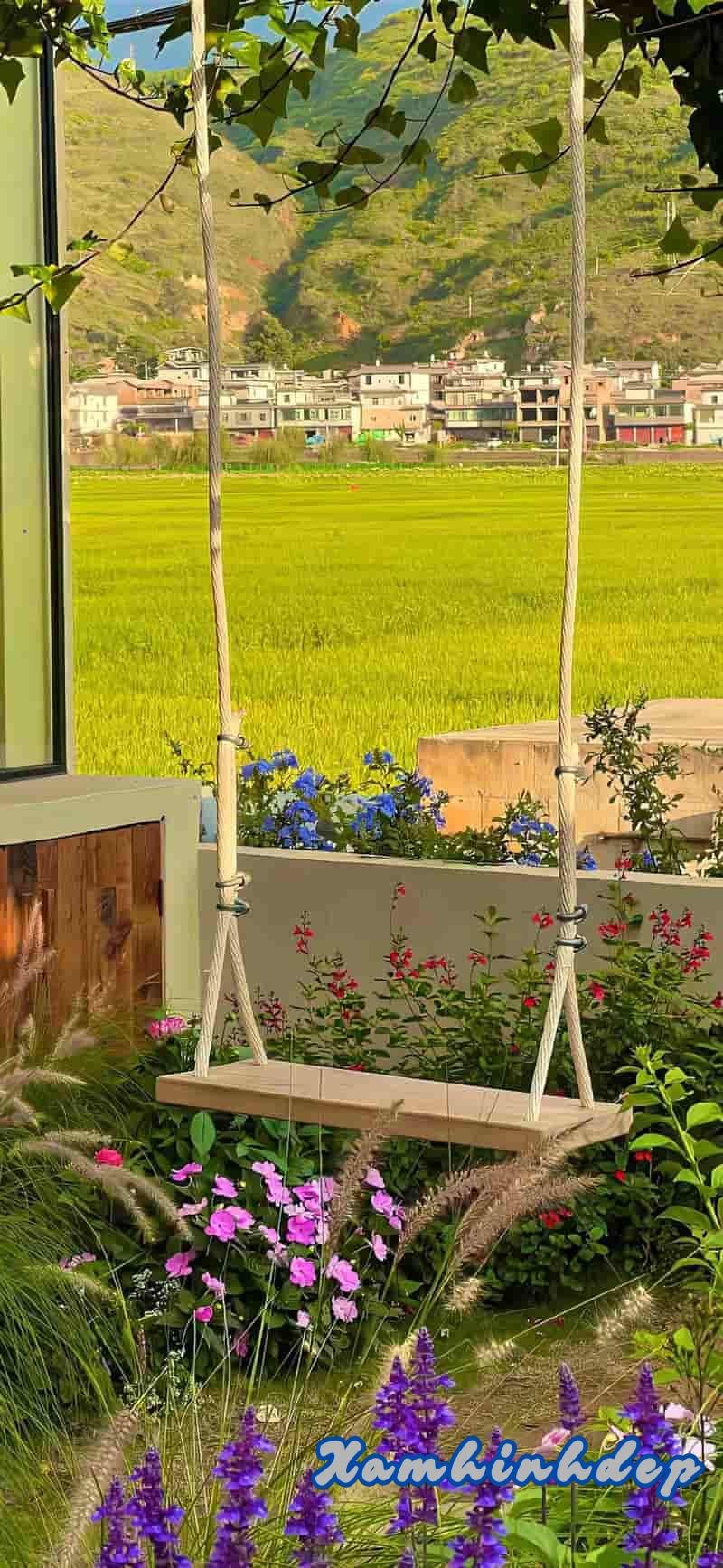 Ngắm hình nền ip 12 mới