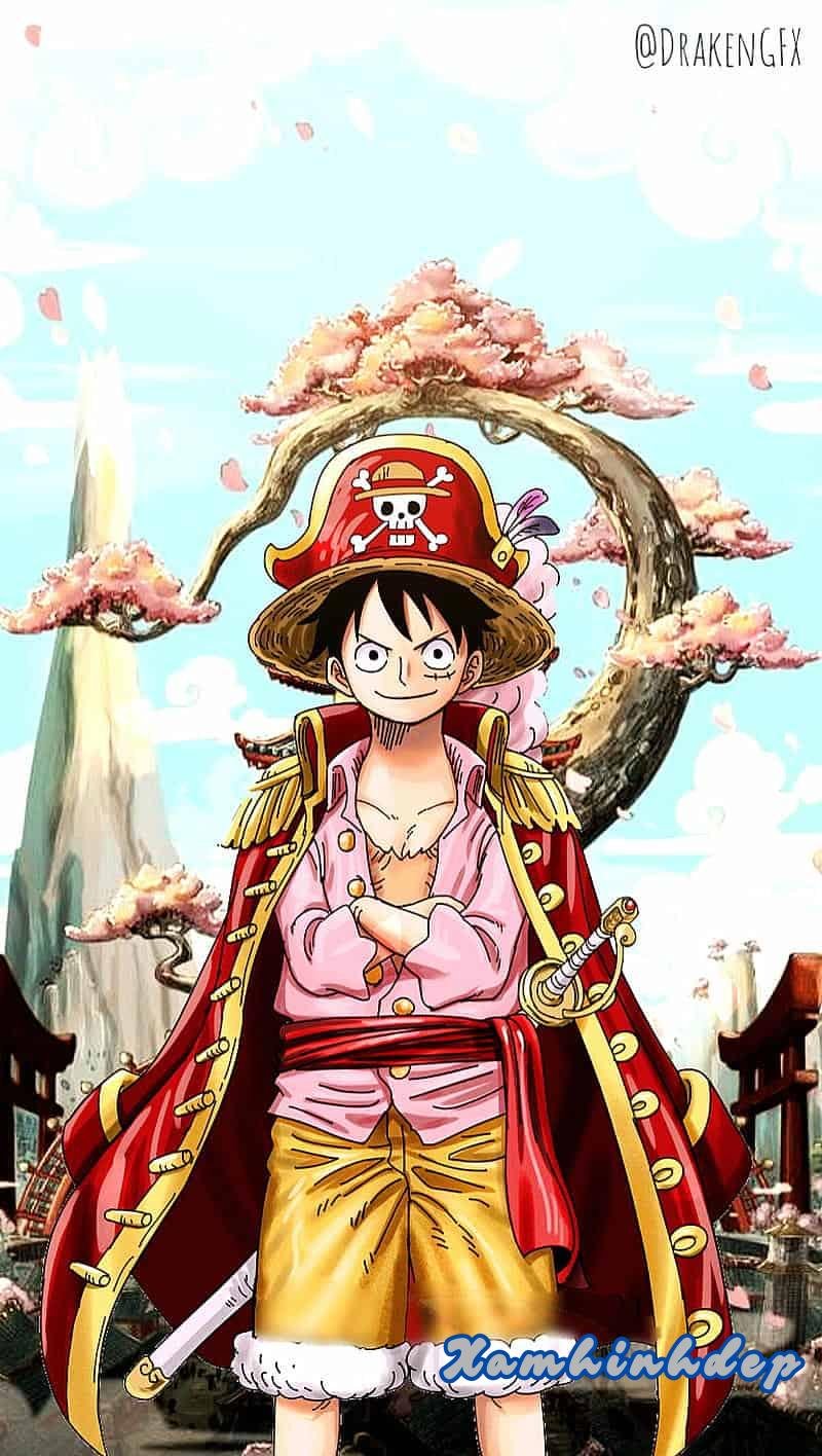 Ngắm hình nền luffy hot