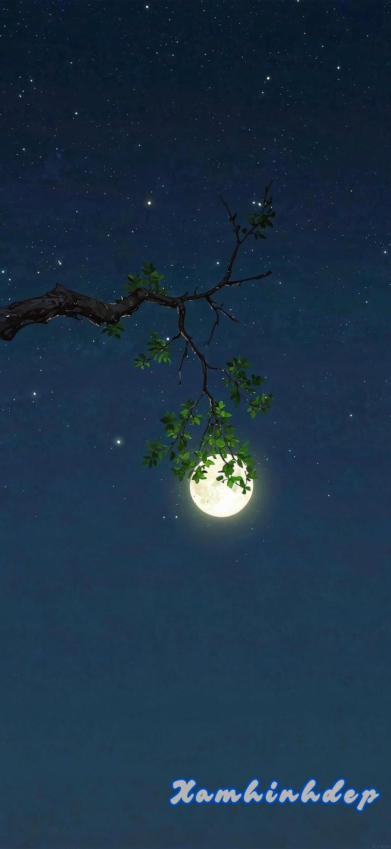 Ngắm hình nền trăng mới