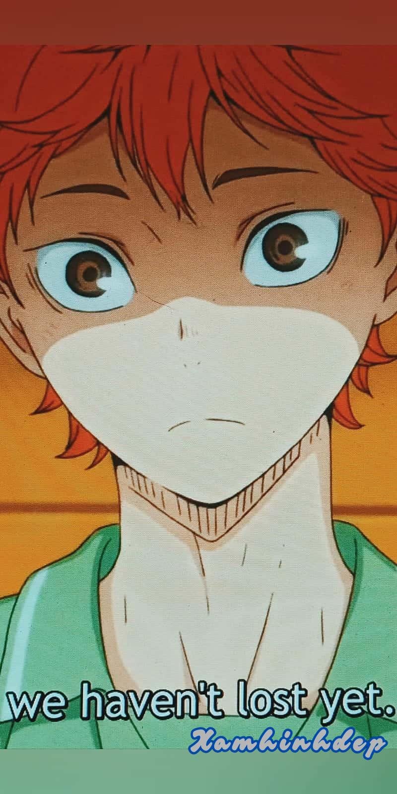 Tải về ảnh hinata shoyo miễn phí
