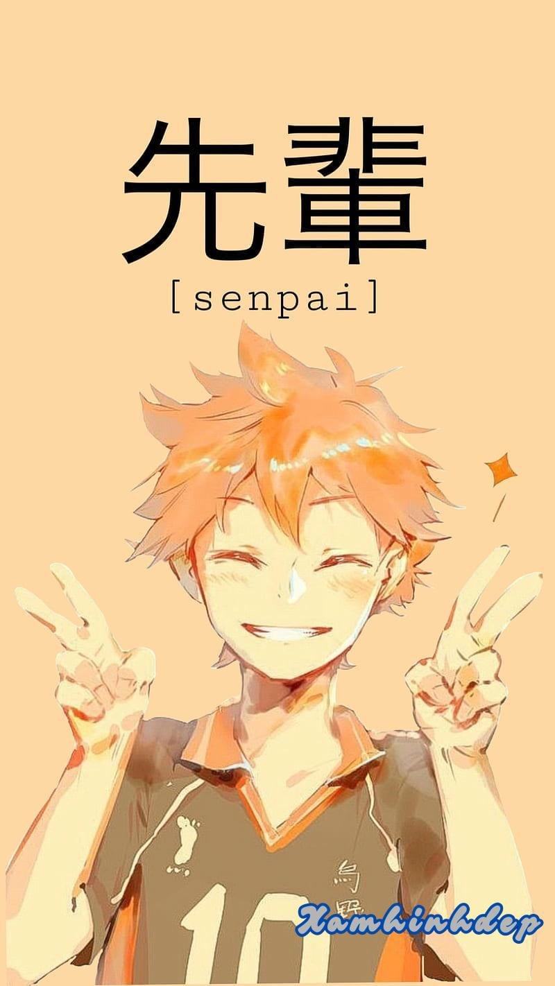 Tải về ảnh hinata shoyo mới